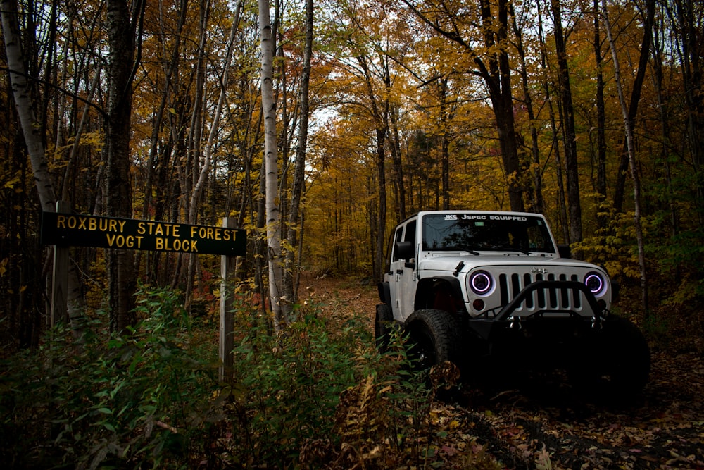 gray Jeep Wrangler SUV near tree