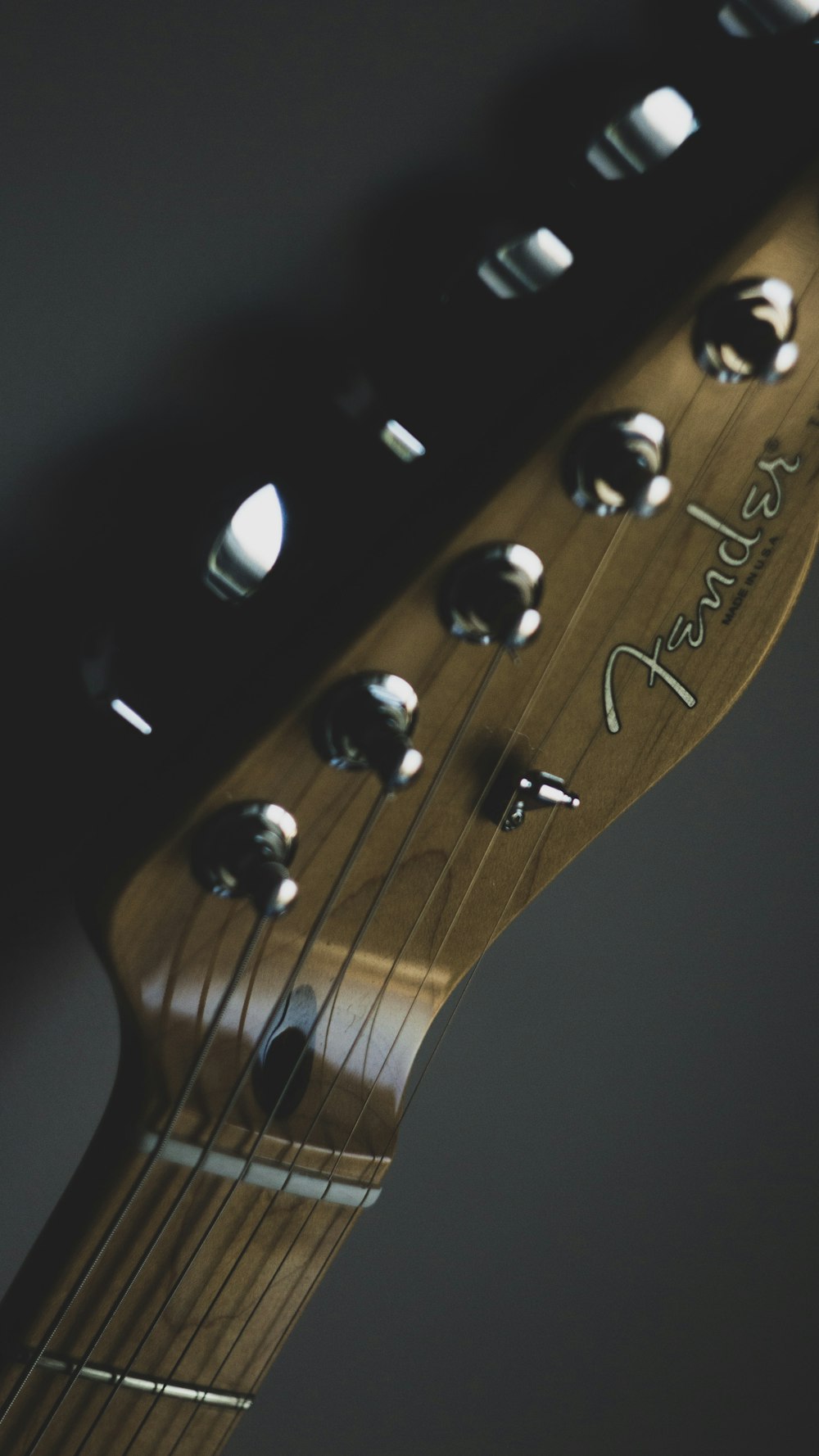 brown Fender guitar headstock