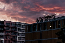 The image features urban architecture with modern buildings under a dramatic sky. The clouds are painted in vibrant shades of pink and purple, suggesting either a sunrise or sunset. Trees and plants are visible on the rooftops of the structures, adding a touch of greenery to the scene.