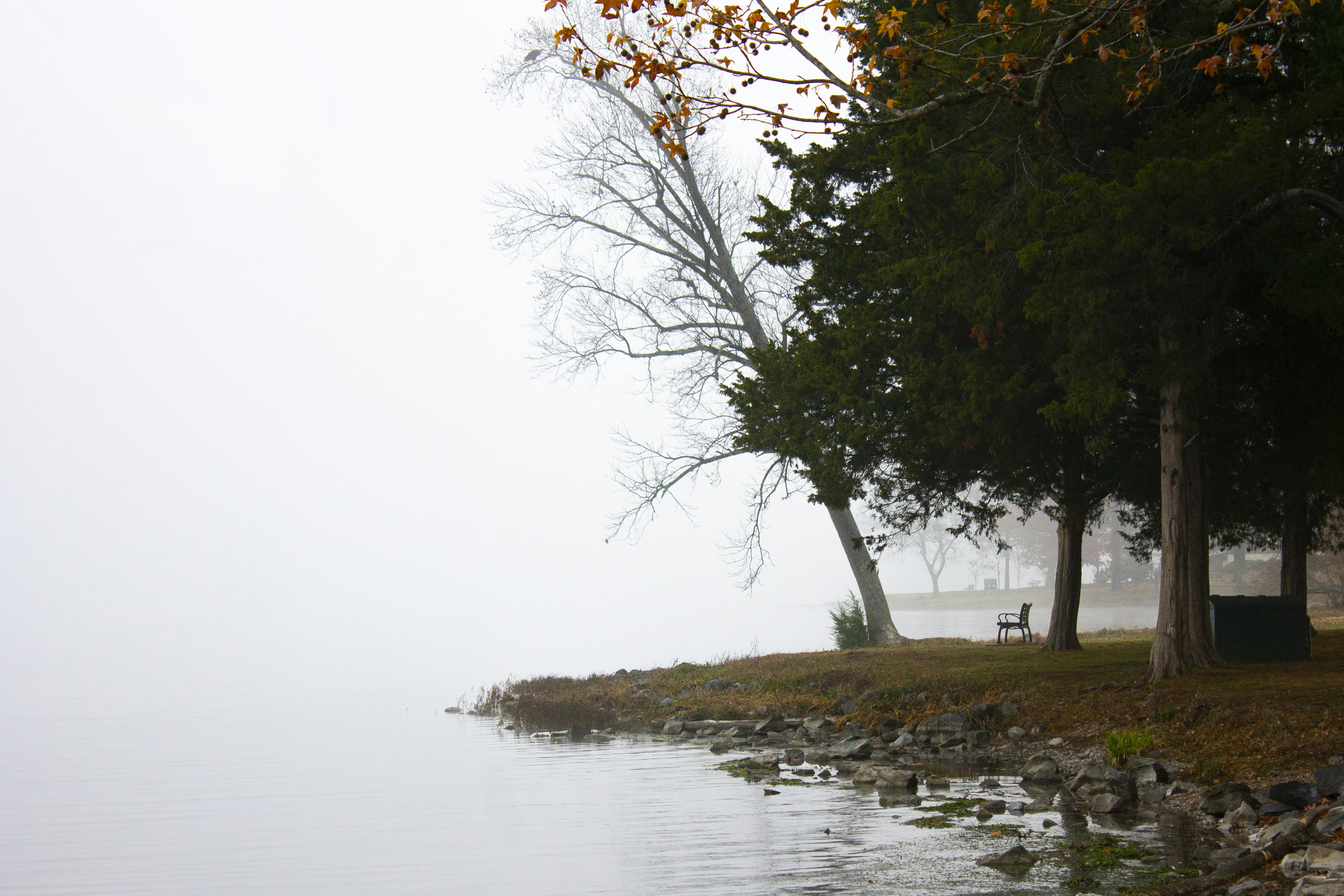 Photo by michael_meigs