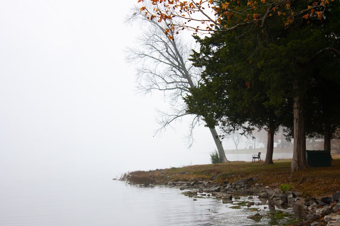 Waterway photo spot Guntersville Lake United States