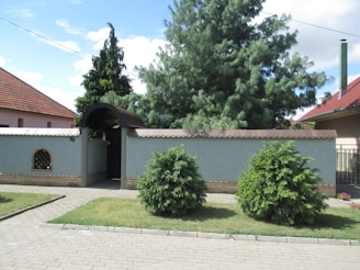 A residential scene features a tall green tree and two smaller bushes in front of a wall with a gate. The wall has an arched entryway and is bordered by brickwork. The surroundings include a paved pathway and a neighboring house with a red-brown roof, set under a partly cloudy sky.