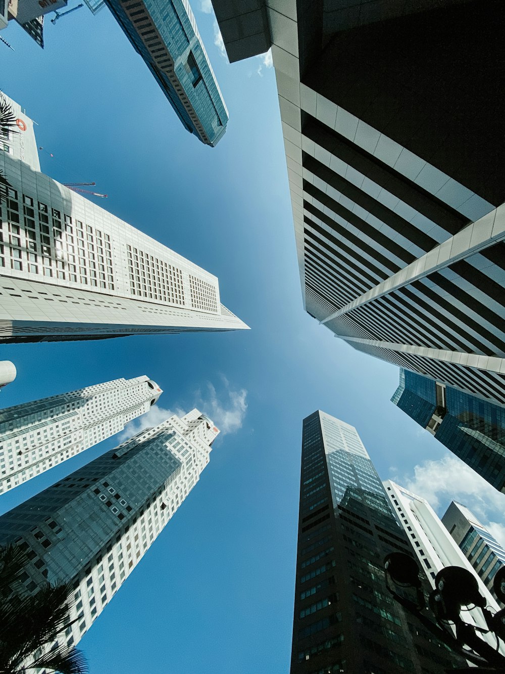 looking up at tall buildings in a city