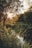A serene natural scene featuring a small waterway surrounded by lush vegetation and tall grasses. Sunlight filters through the dense canopy of trees, casting a warm, golden light over the landscape. The water reflects the surrounding greenery, creating a calming and visually rich environment.