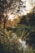 A serene natural scene featuring a small waterway surrounded by lush vegetation and tall grasses. Sunlight filters through the dense canopy of trees, casting a warm, golden light over the landscape. The water reflects the surrounding greenery, creating a calming and visually rich environment.