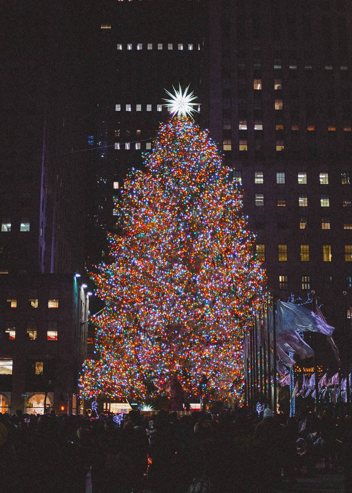 Tall Christmas tree covered in lights standing between city buildings at night