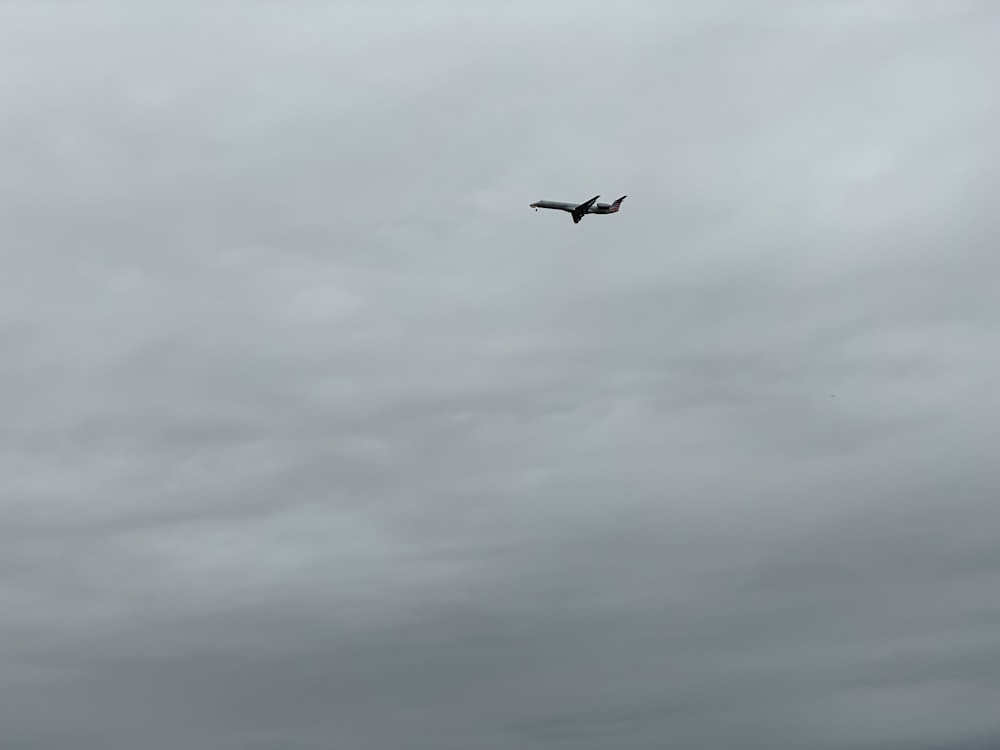 飛行機が空高く飛んでいる