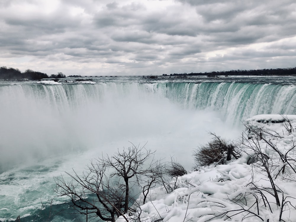 bare trees beside waterfalls