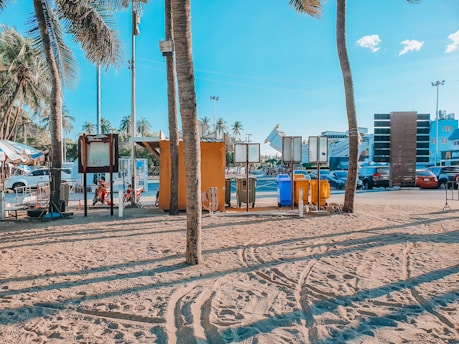A sandy beach area with scattered palm trees casting long shadows across the sand. There are several trash bins in various colors lined up, and a few signs or bulletin boards positioned near the trees. In the distance, buildings and cars are visible, with some parked vehicles near the sidewalk. The sky is clear and blue, contributing to a sunny and tropical atmosphere.