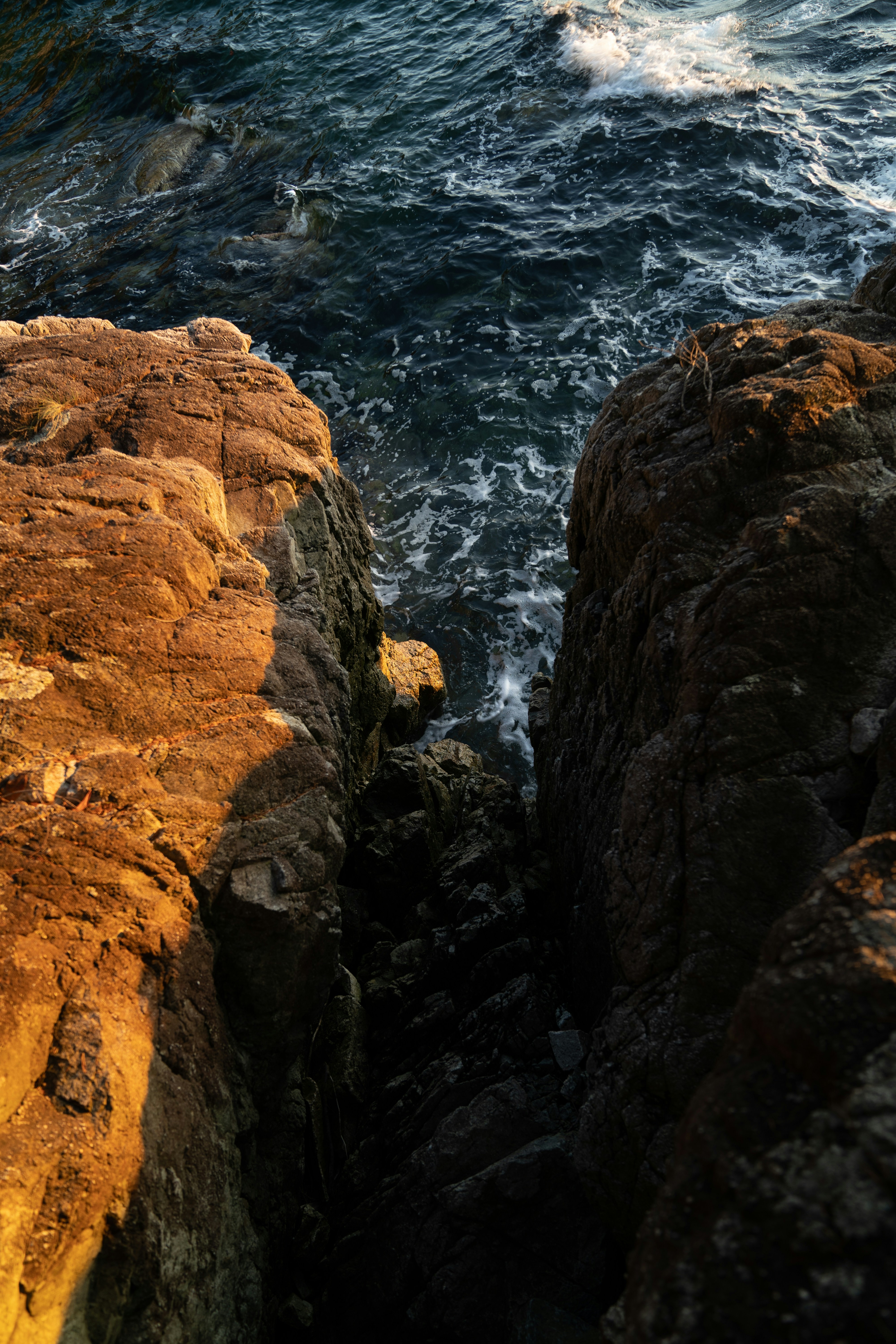 Photo by tomaswilliamsa