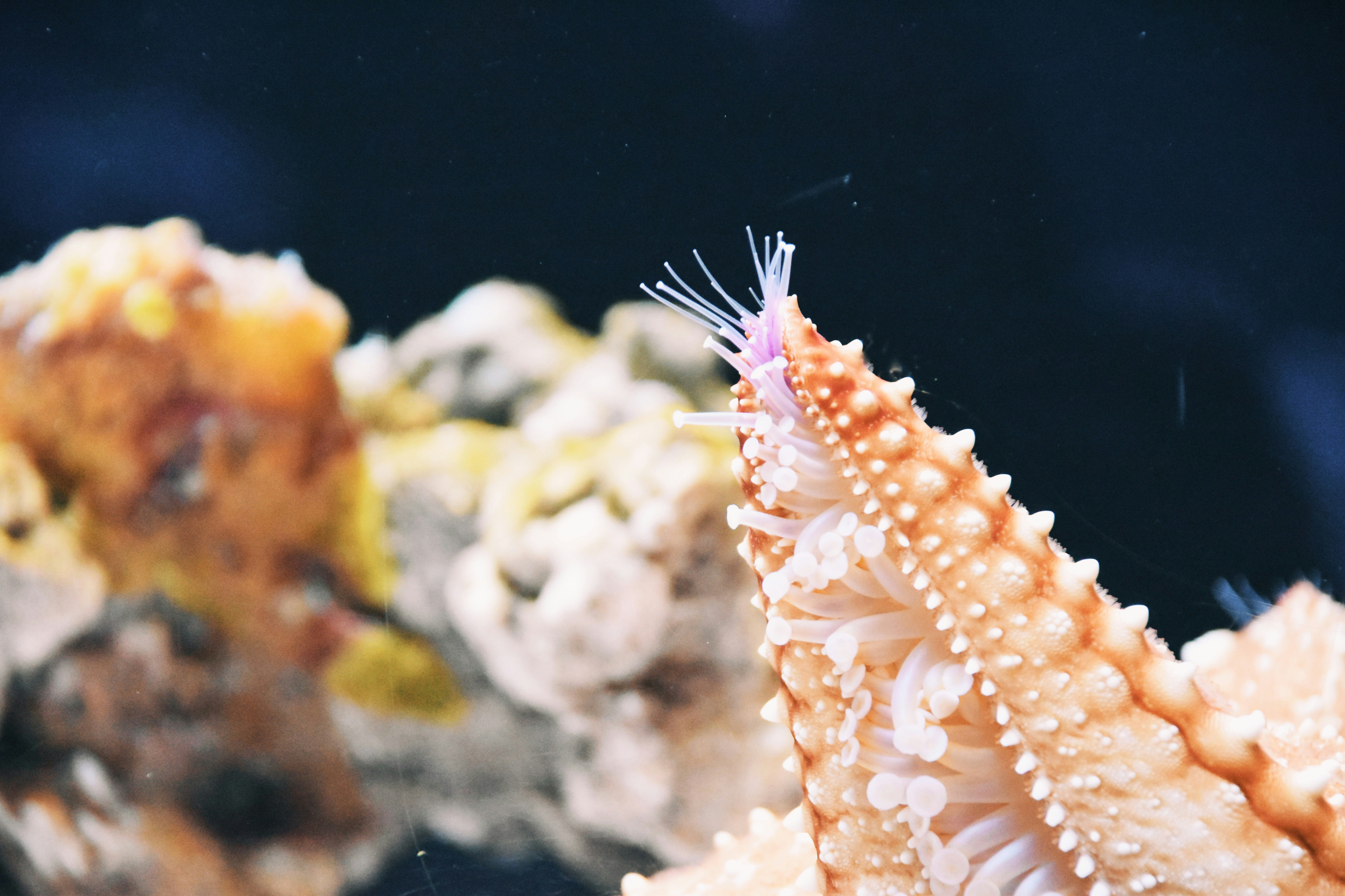 Photo by christopherphigh