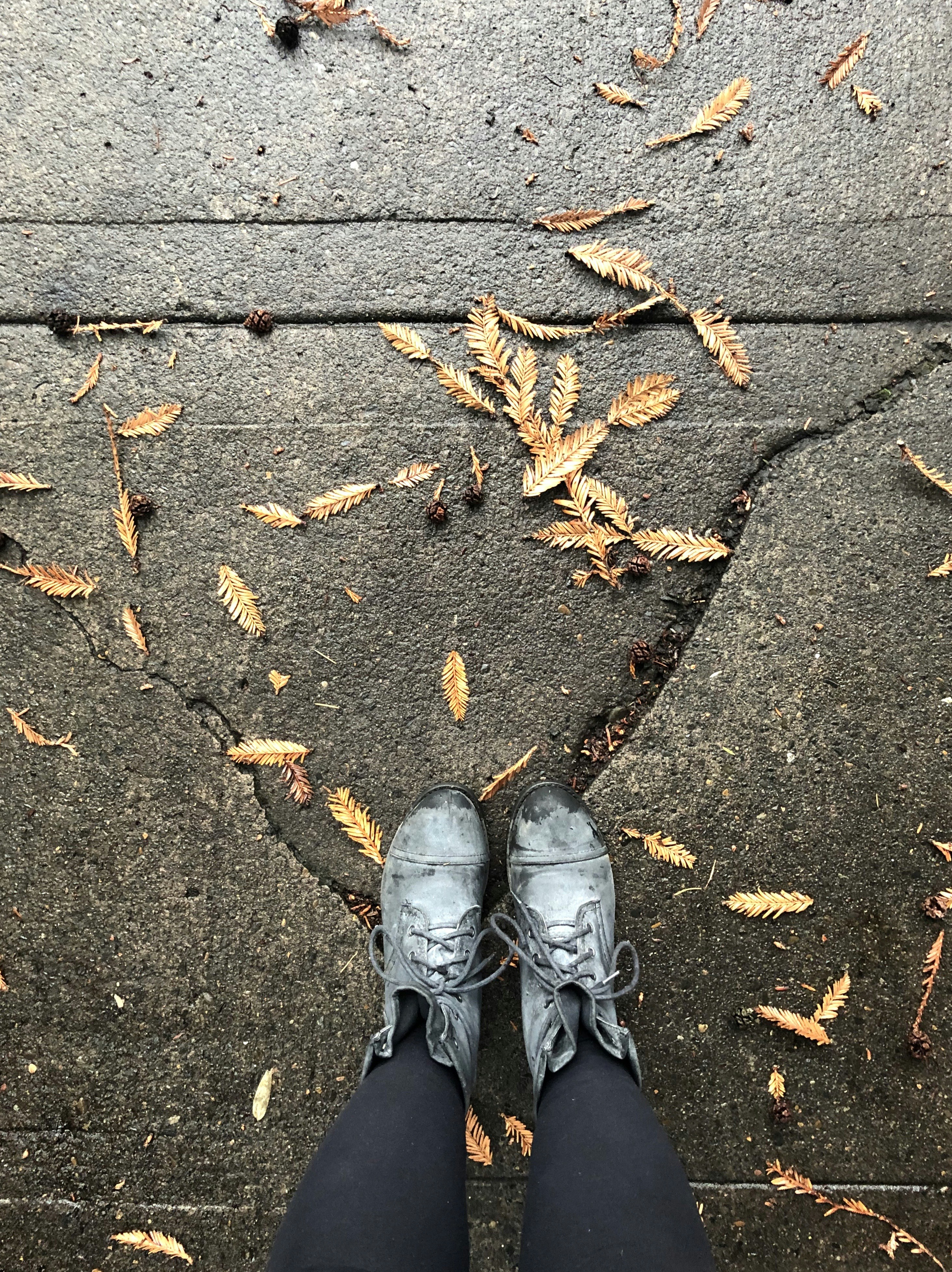 pair of gray running shoes