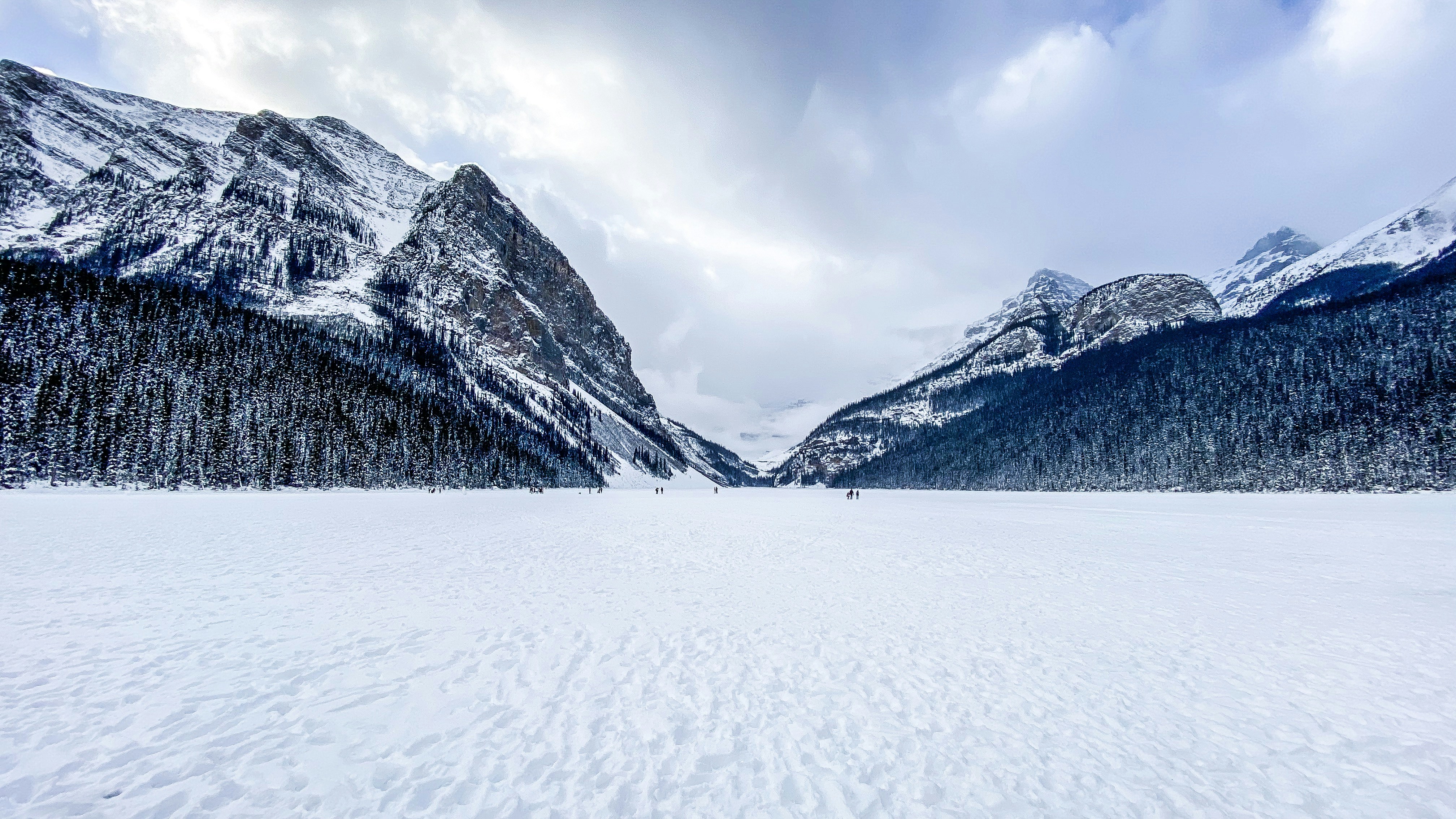 Photo by moonfallmedia