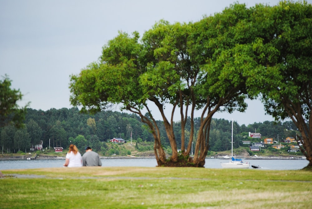 two people sitting and facing near body of water beside trees