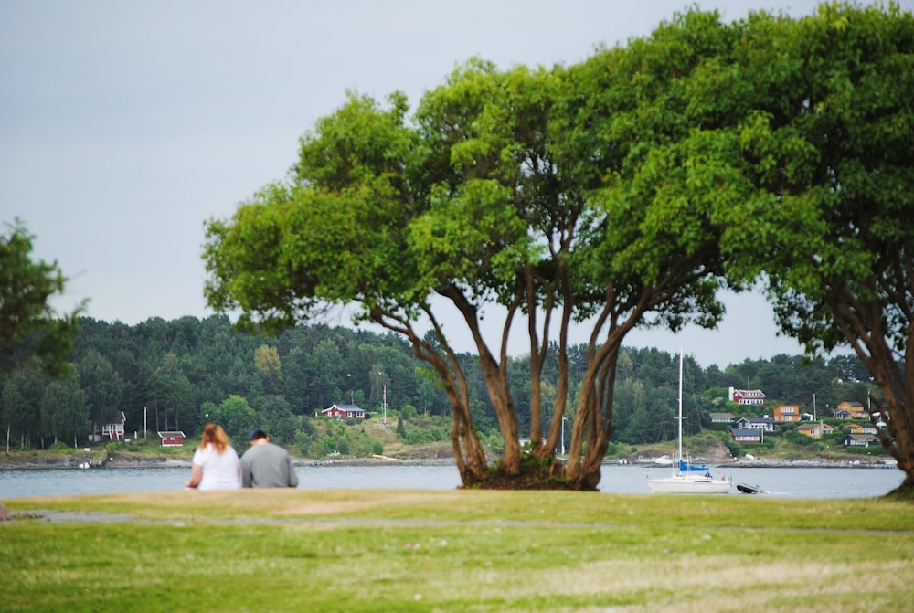 deux personnes assises et faisant face à un plan d’eau à côté d’arbres