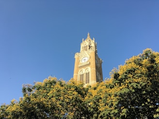 white and brown clock tower
