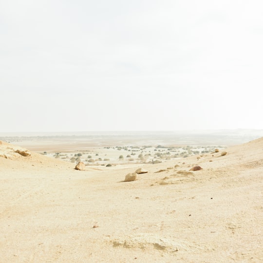 stones on desert in Fayoum Egypt