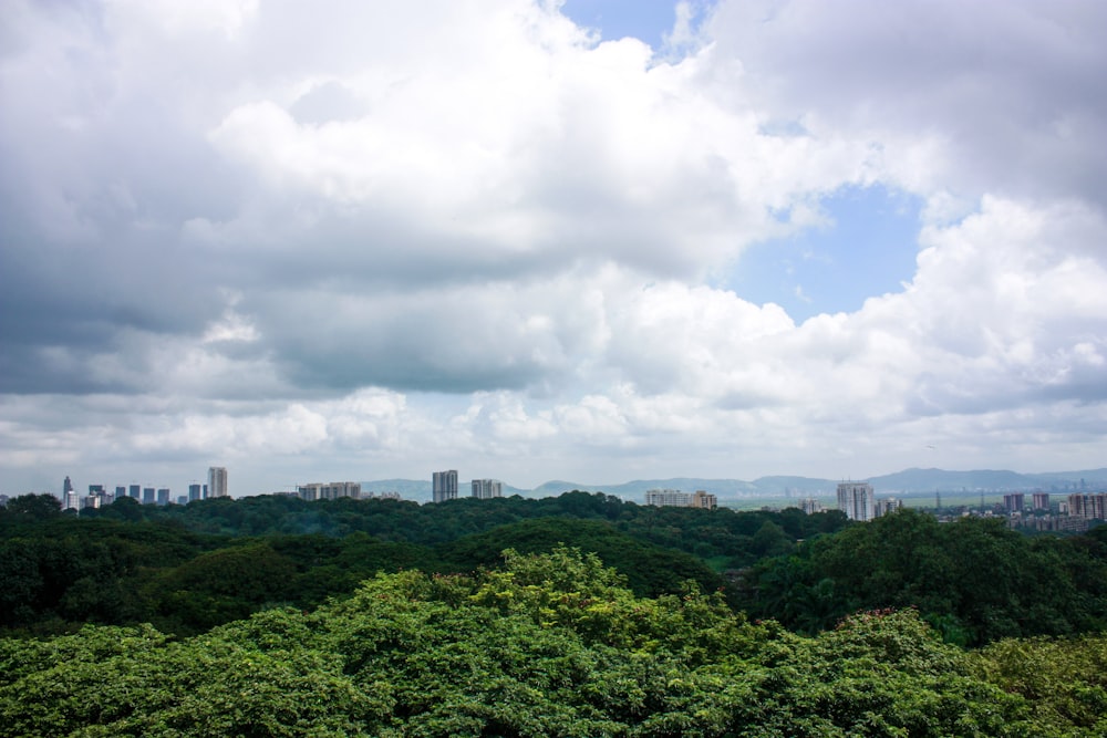 green trees under cloudy sky