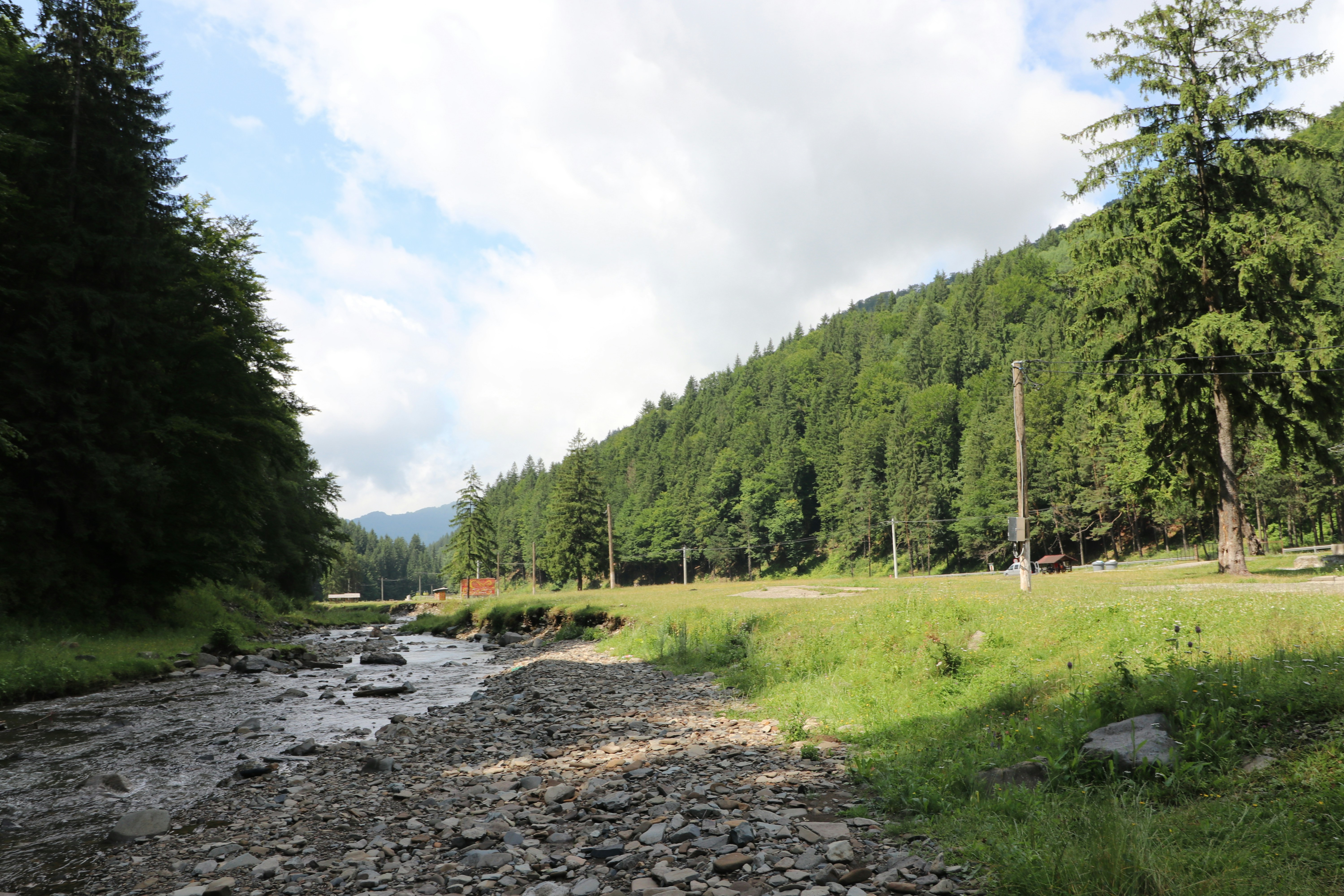 Photo by andreipanait