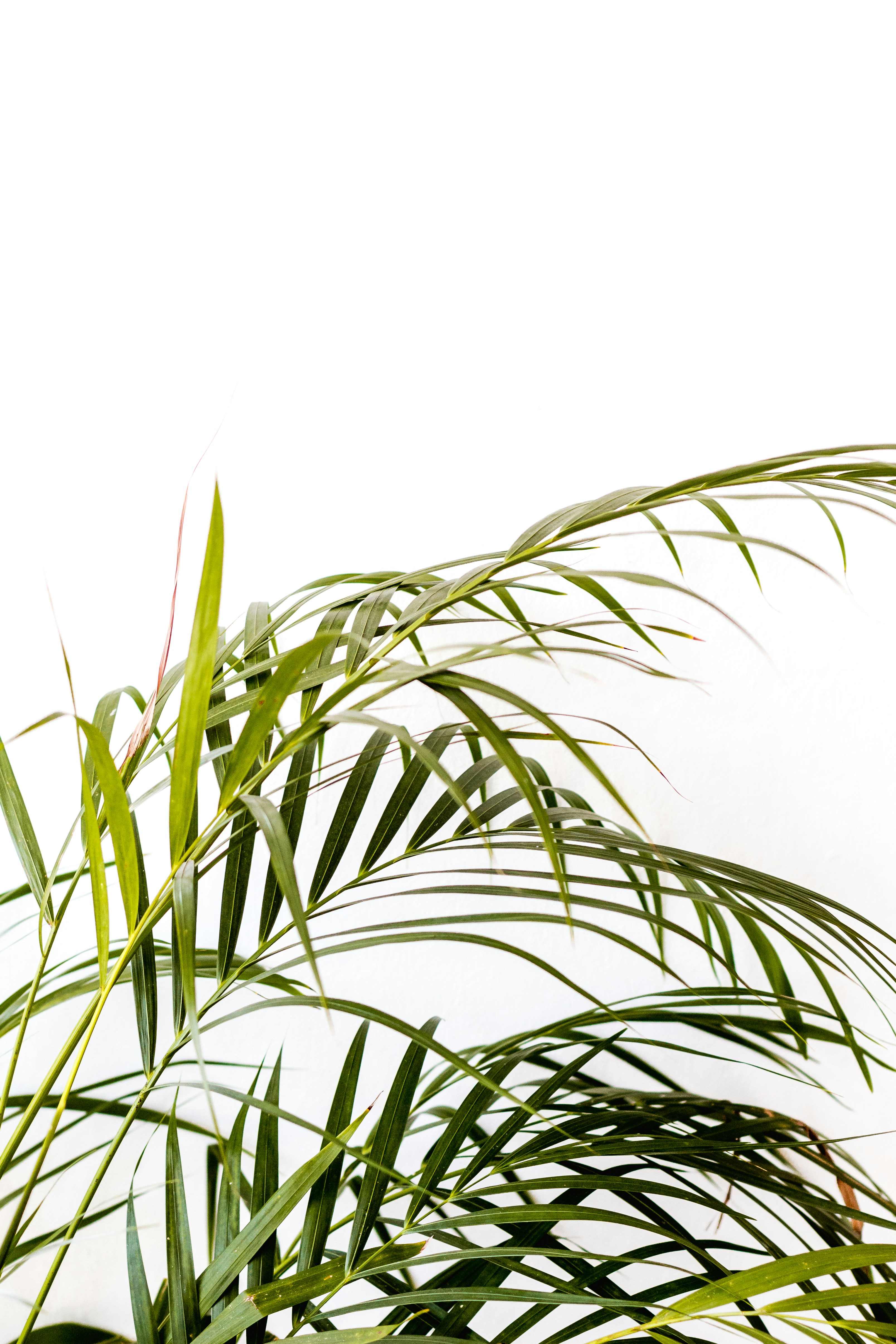 Photo by sincerelymedia