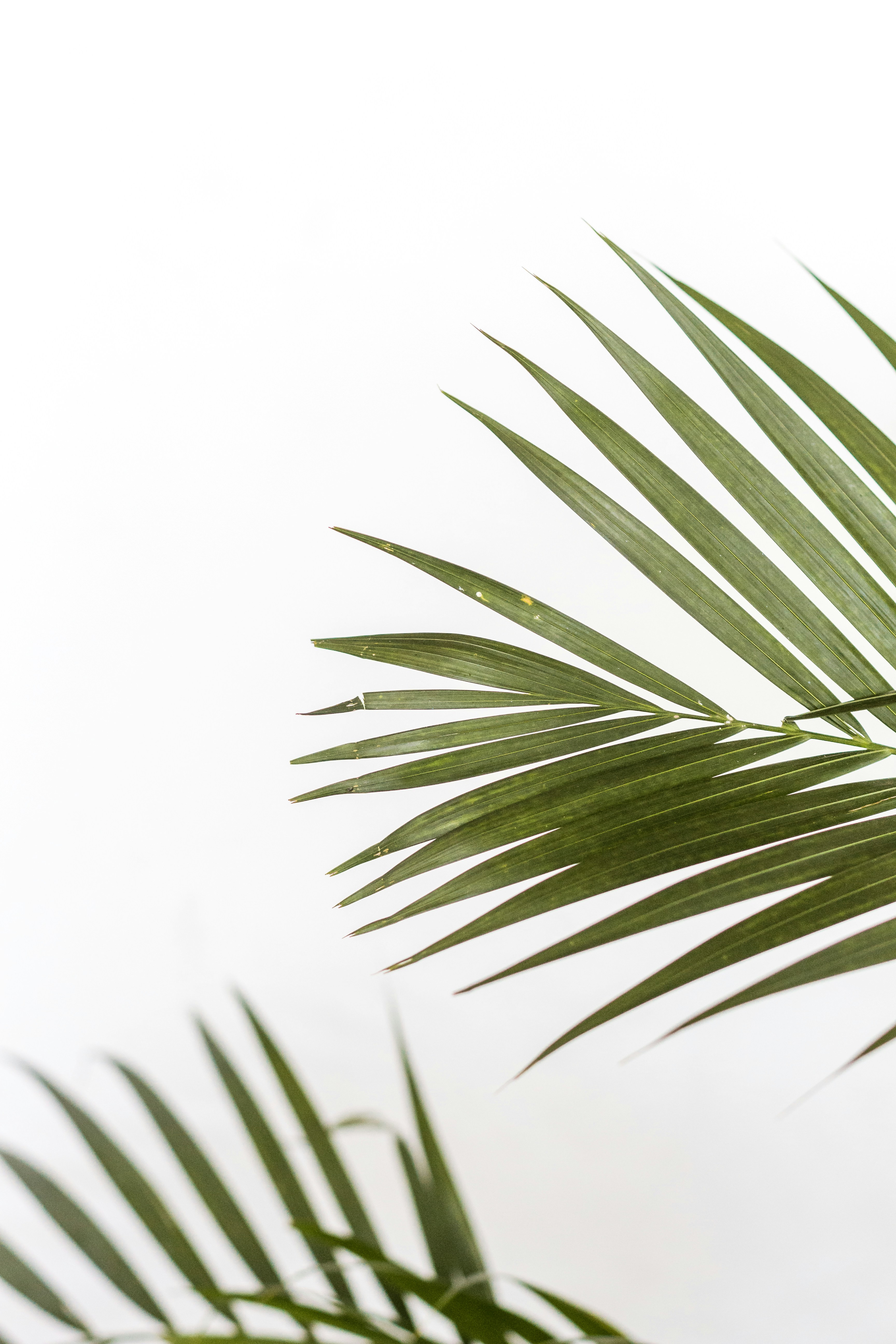 Photo by sincerelymedia