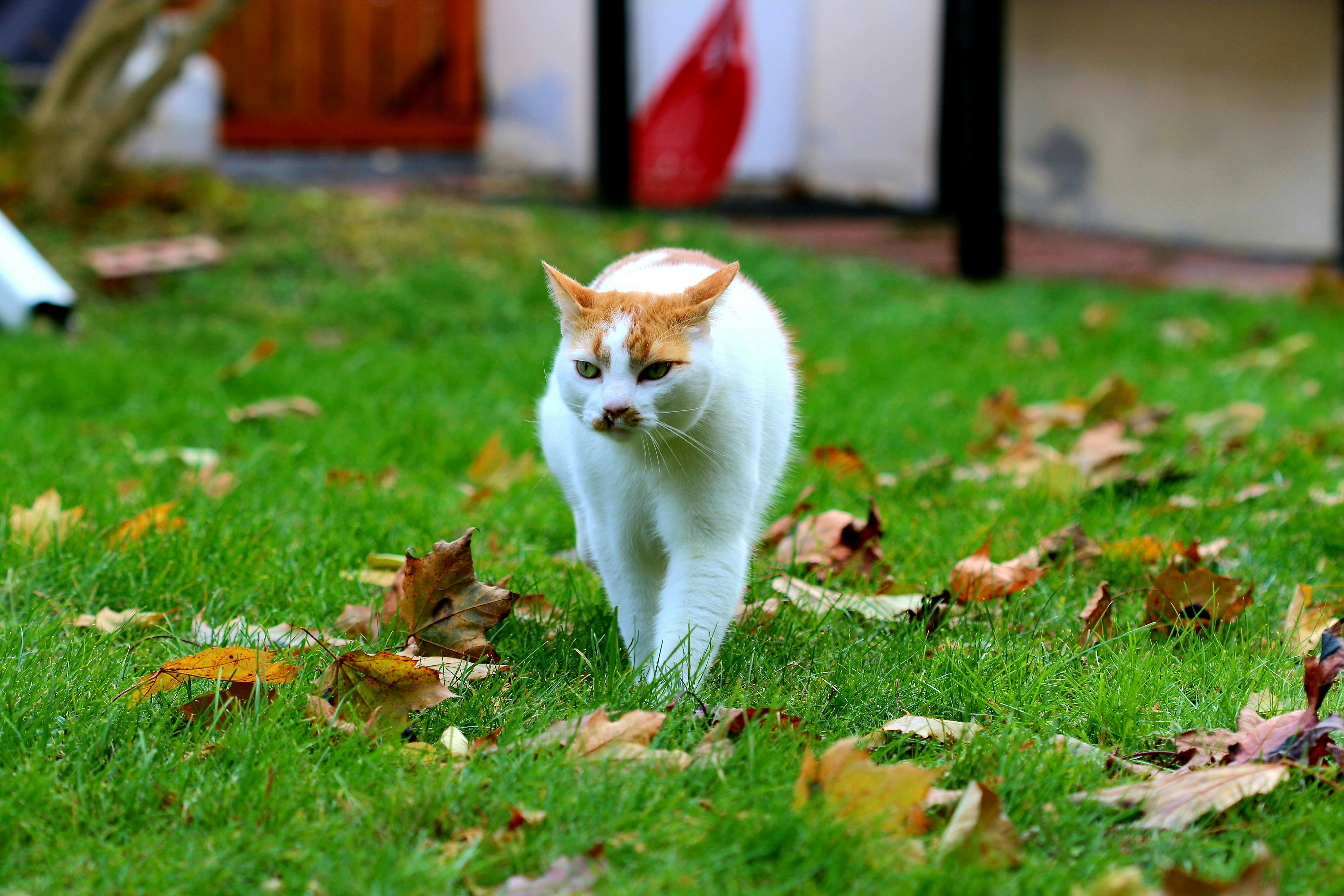 Photo by richardworks