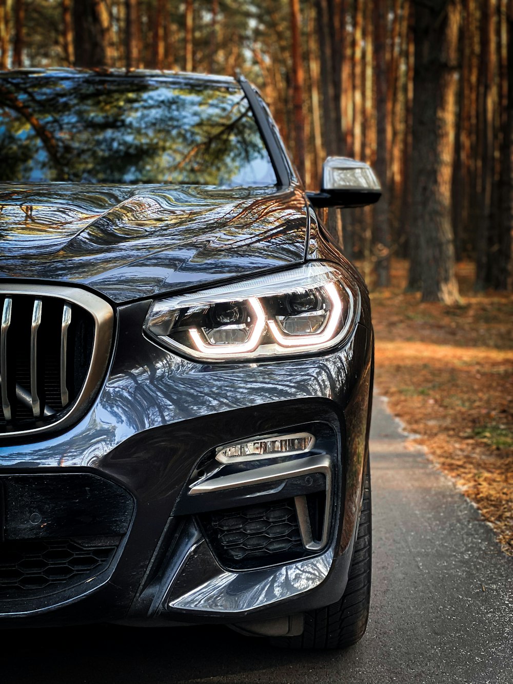 black BMW X6 parking near road