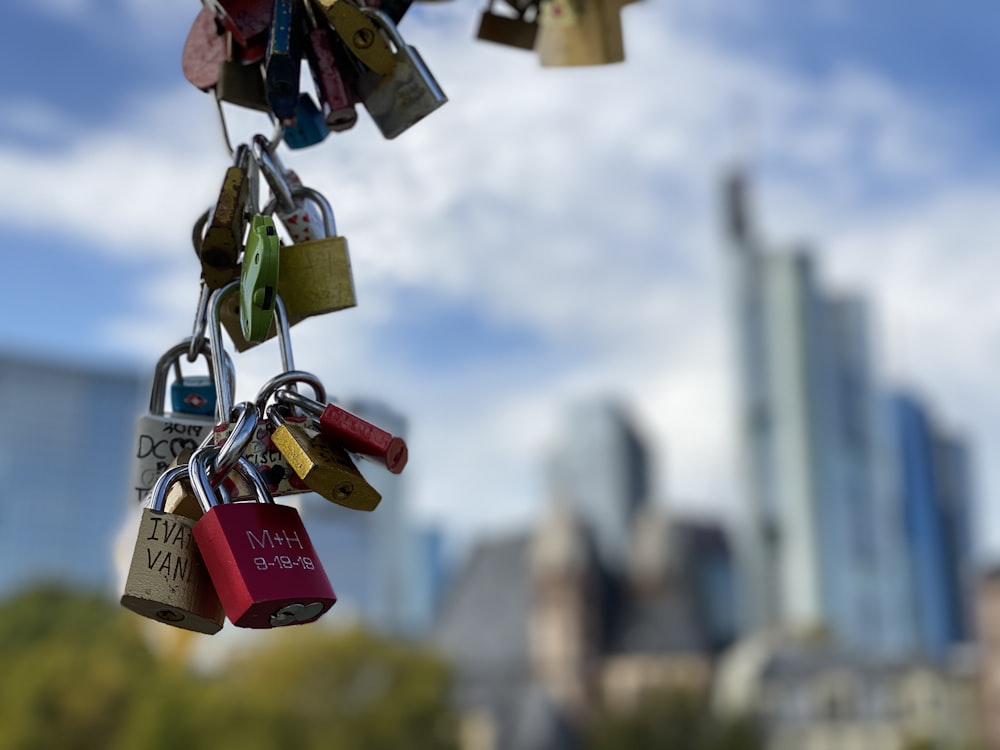 macro photography of assorted padlocks