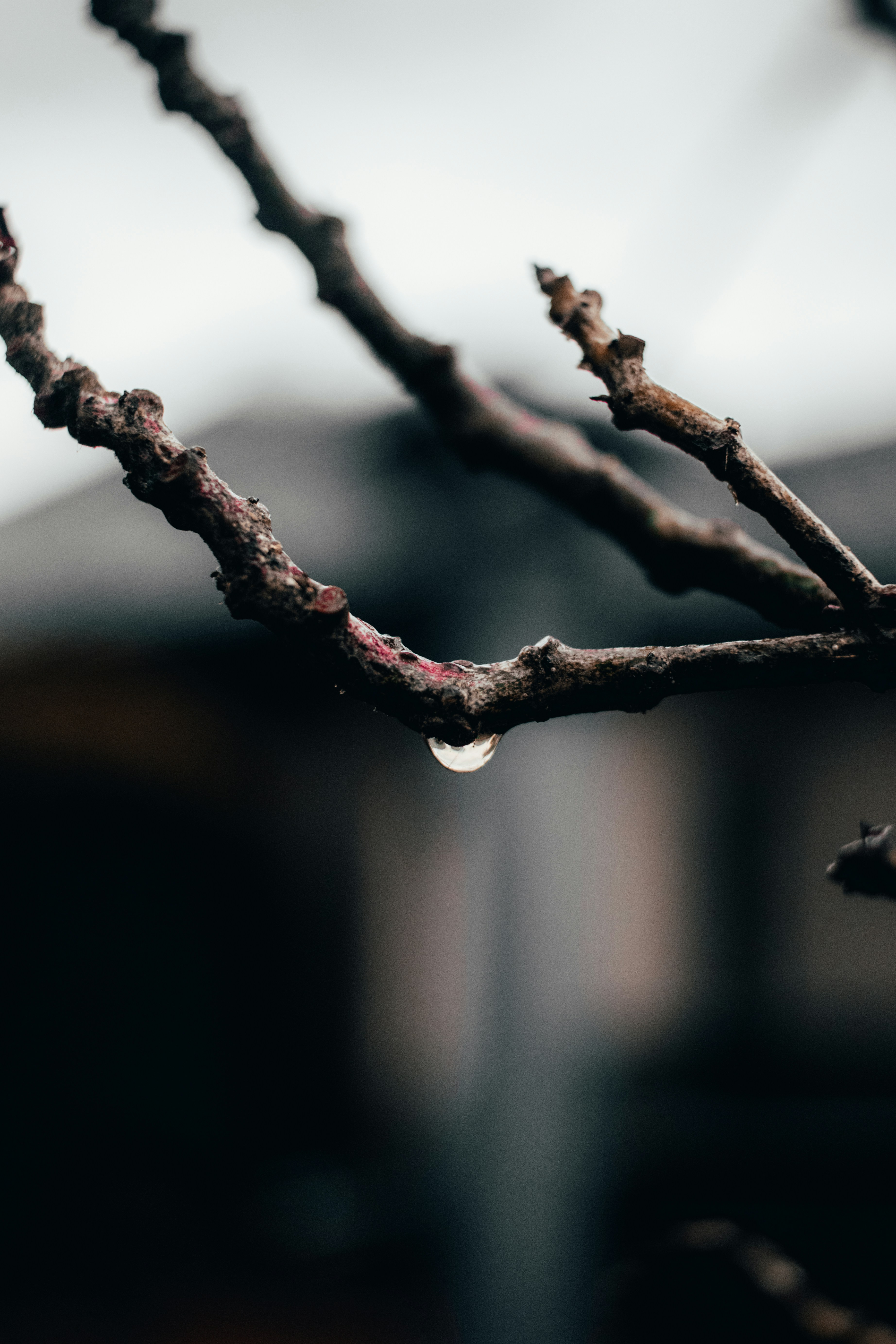 Photo by muaawiyahdadabhay