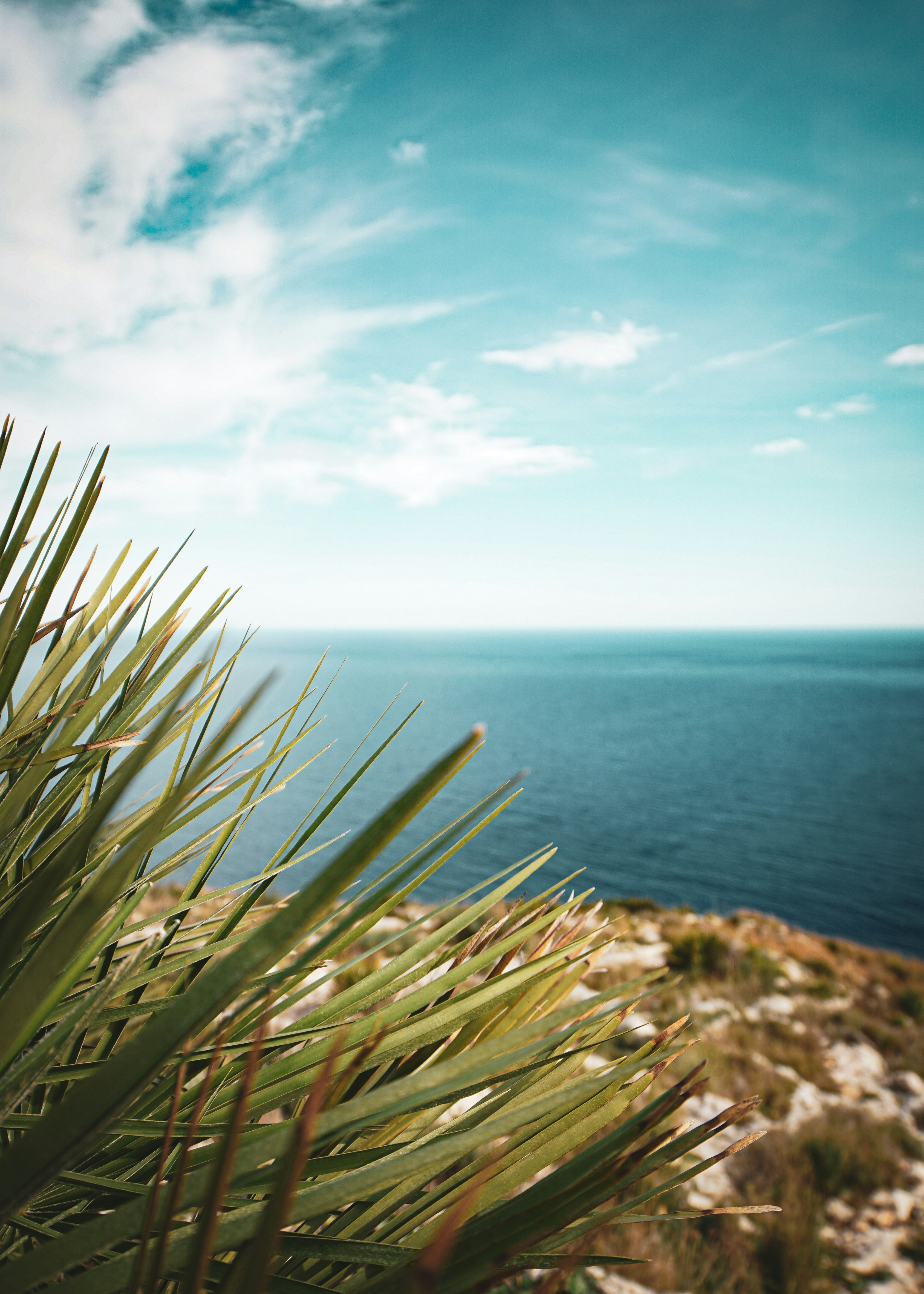 Photo by mikamagister