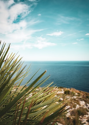 A stunning beachfront villa in Egypt with clear blue waters and palm trees.