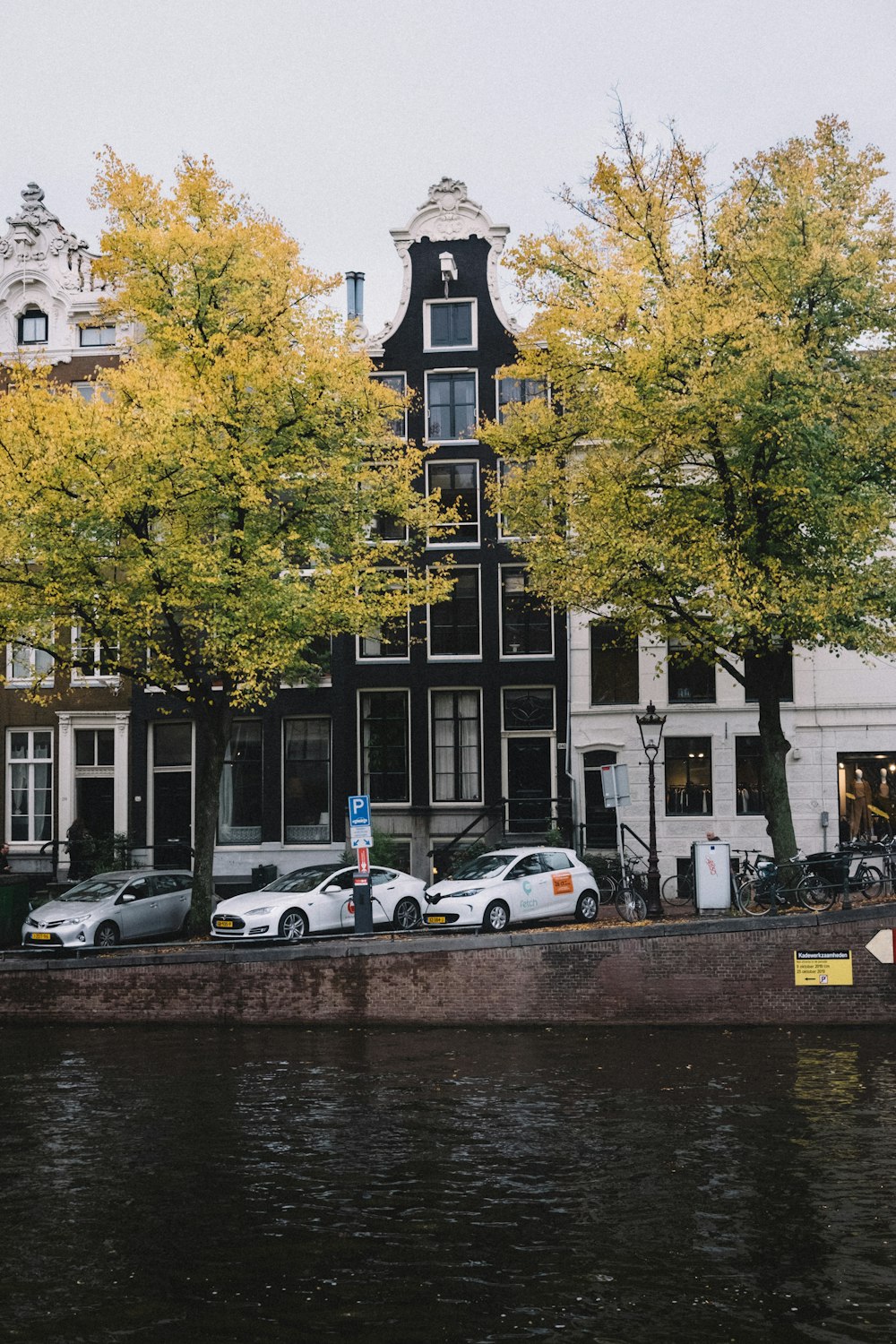 different vehicles parking near buildings beside body of water