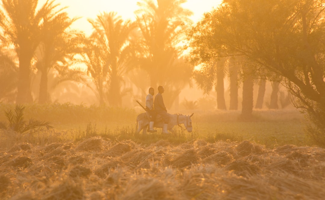 Wildlife photo spot Fayoum Faiyum Governorate