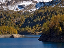 A serene alpine landscape featuring a tranquil lake surrounded by a dense forest of evergreen and autumn-toned trees. Snow-capped mountains provide a dramatic backdrop, contrasting with the deep blue water.