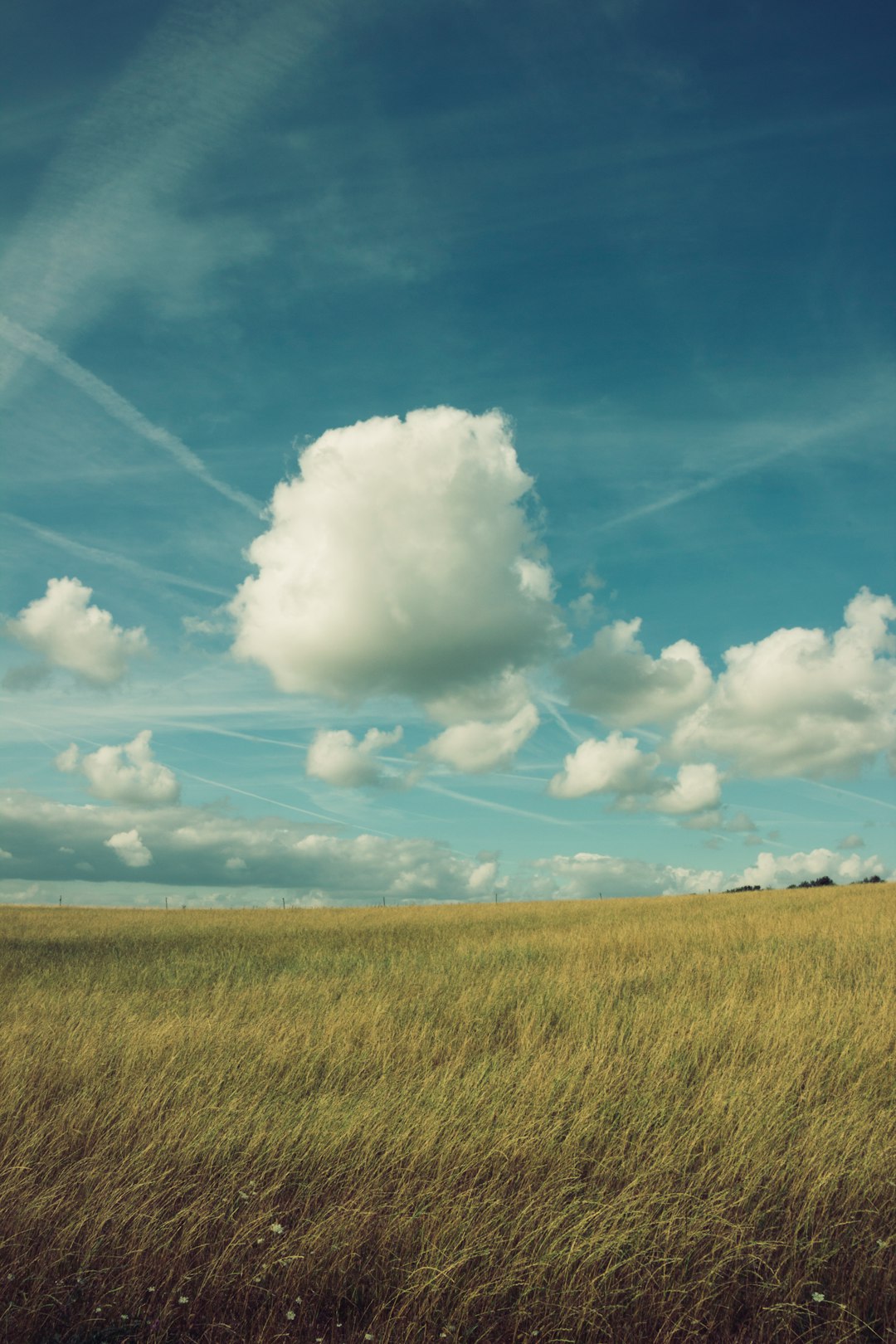 Beautiful clouds in a bright blue sky above a field