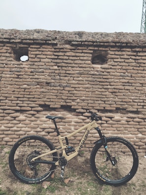 Final mountain bike model displayed outdoors against a natural backdrop.