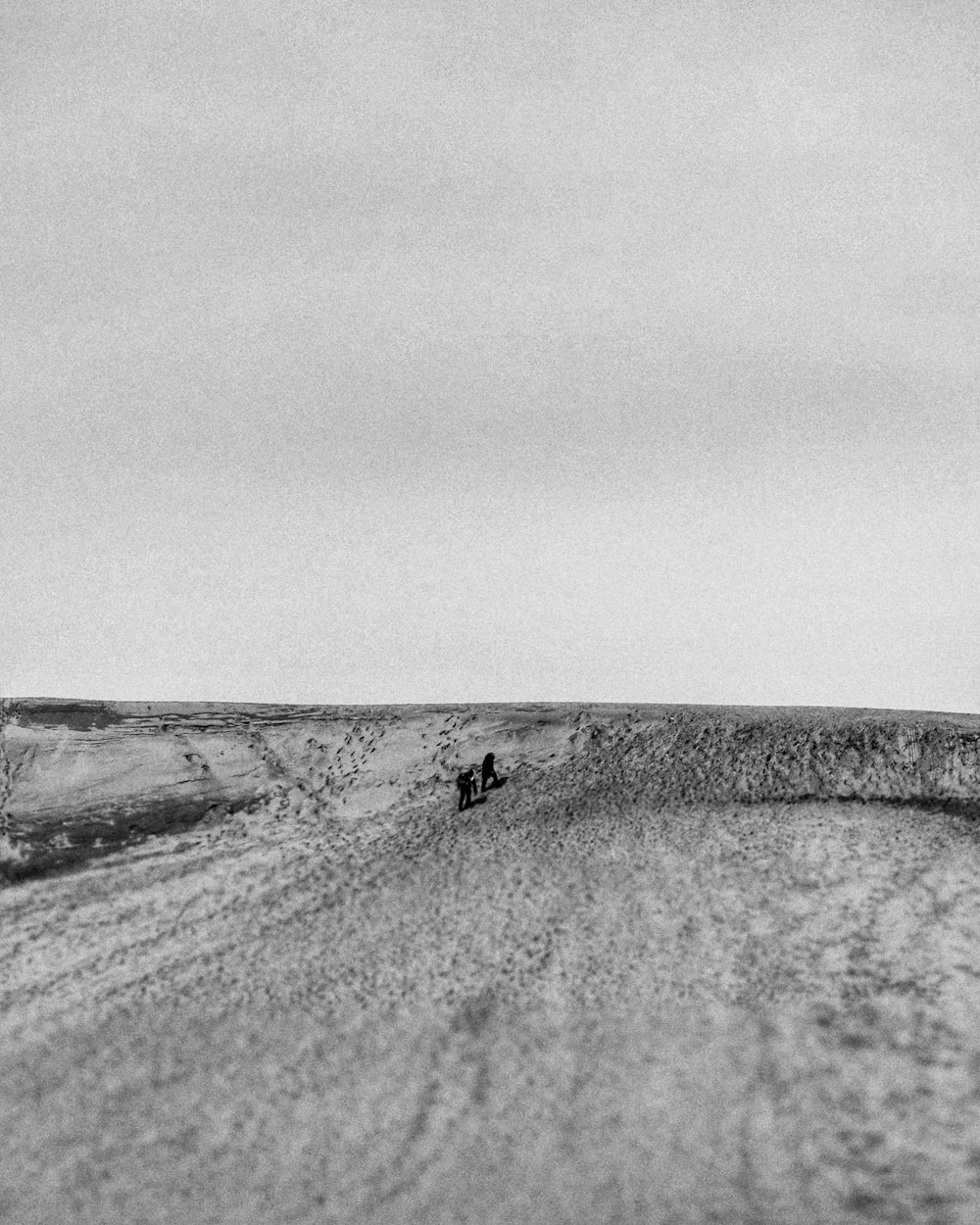 grayscale photography of plains