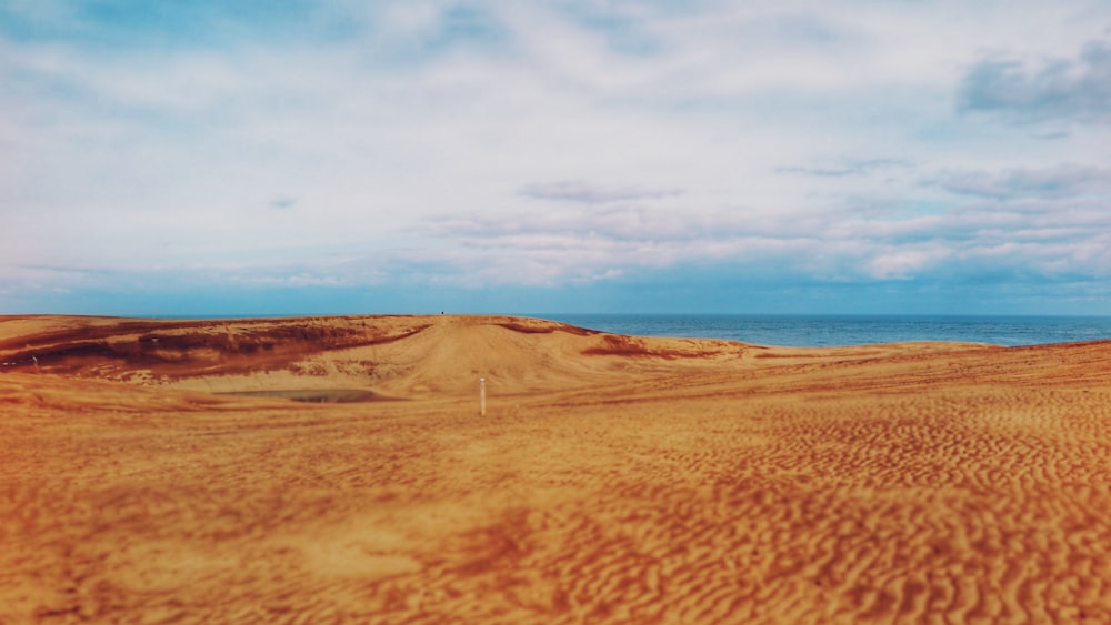 desert and body of water