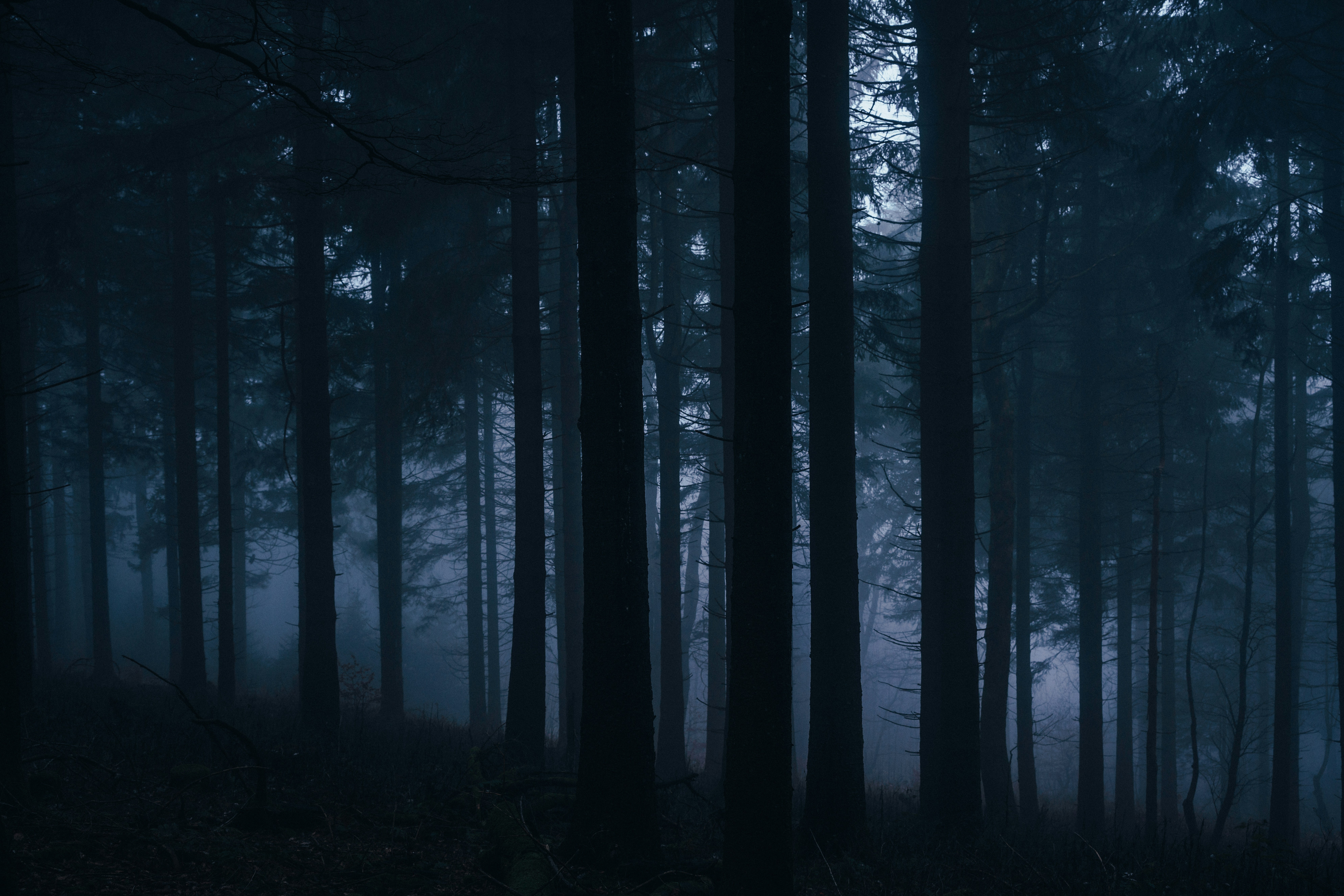 Photo by mirkosphoto