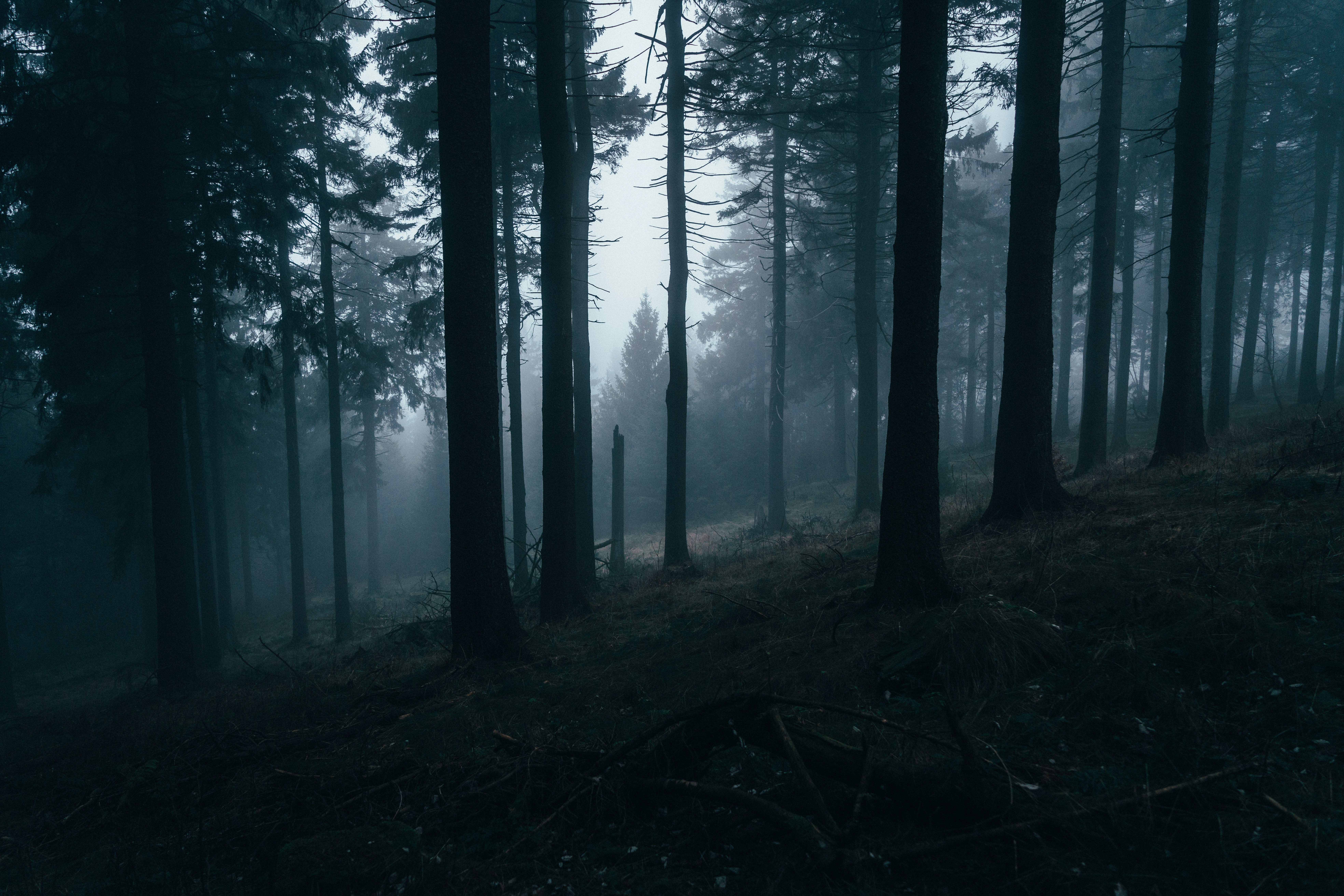 Photo by mirkosphoto