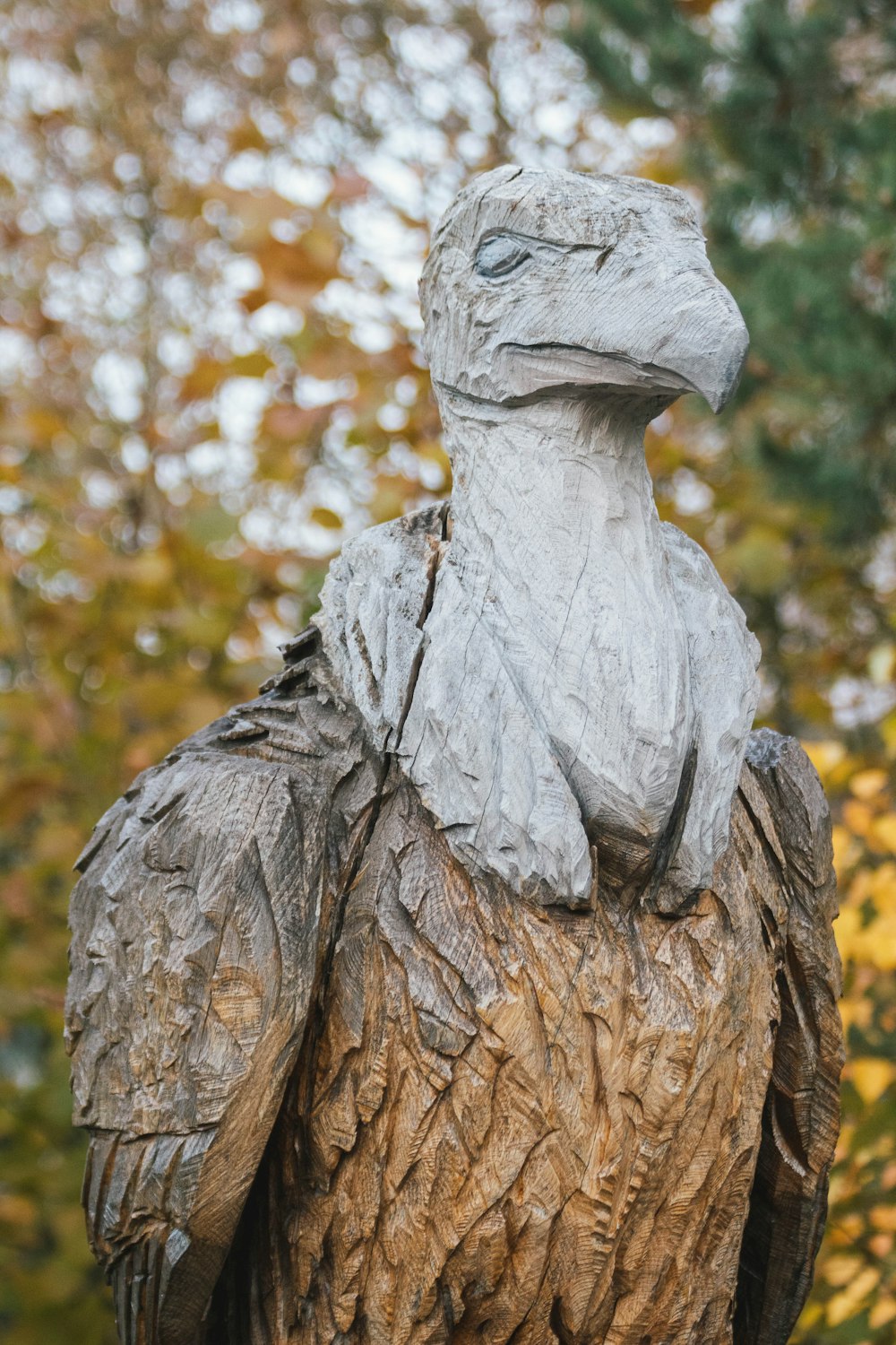 selective focus photography of gray and brown owl statue