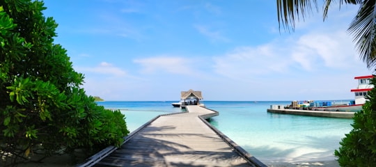 boardwalk and body of water in Kuramathi Maldives