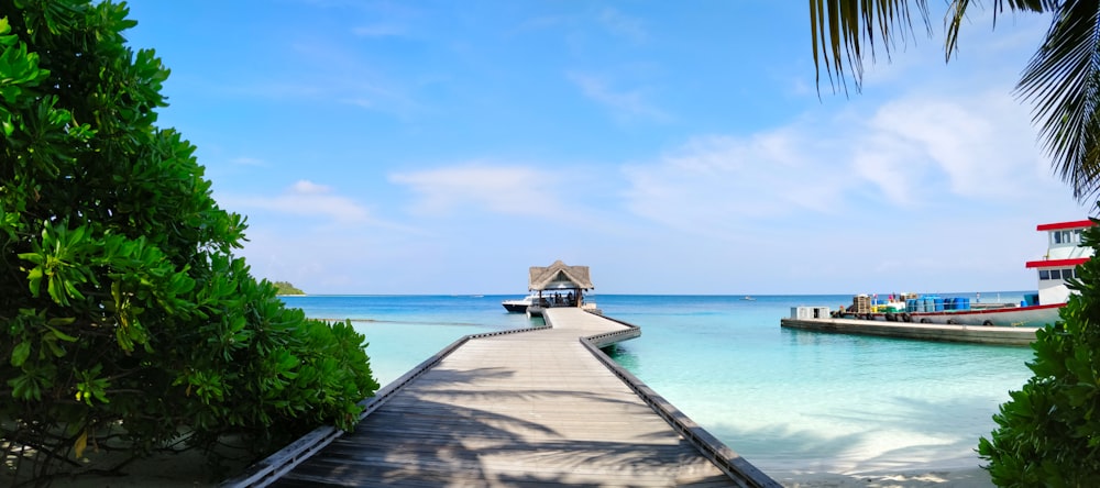 boardwalk and body of water