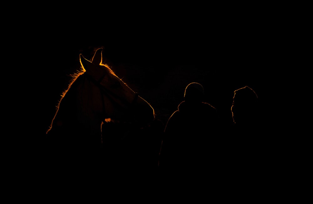 a couple of people standing next to a horse