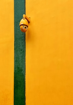 A bright yellow wall with a vertical dark green stripe running through it. Mounted on the wall is a yellow security camera positioned near the top of the image.