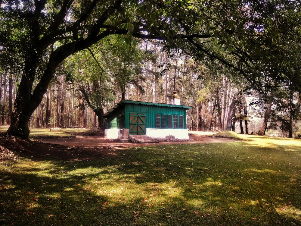 white and green wooden house surrounded by trees