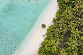 island aerial photograph