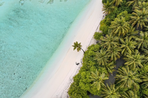 island aerial photograph