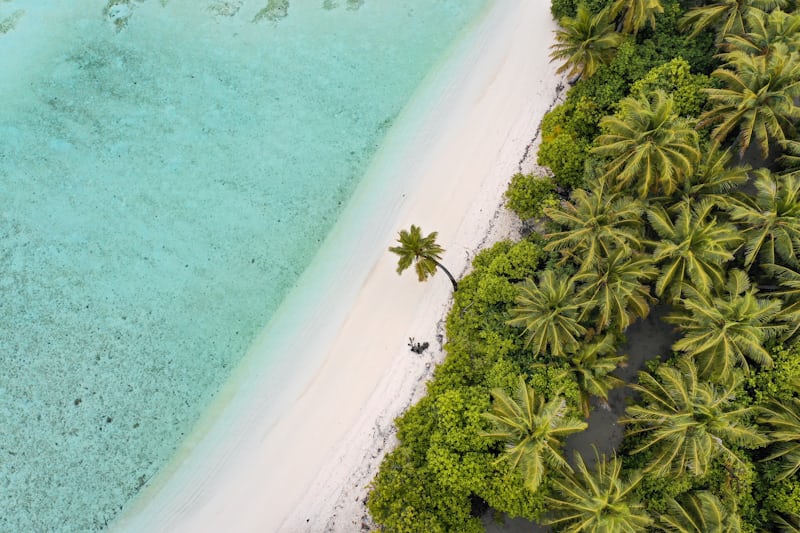 A tropical beach