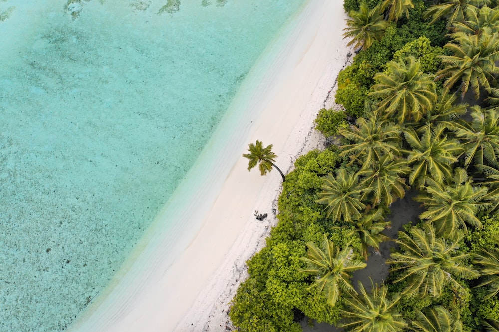 island aerial photograph